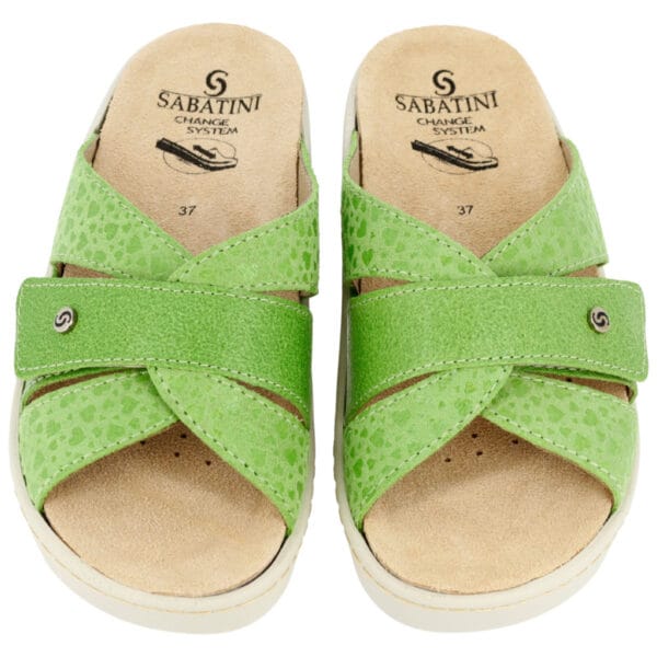 S1061 - Cuore/Naplack Pistacchio - immagine 2